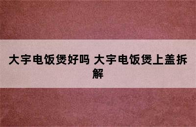 大宇电饭煲好吗 大宇电饭煲上盖拆解